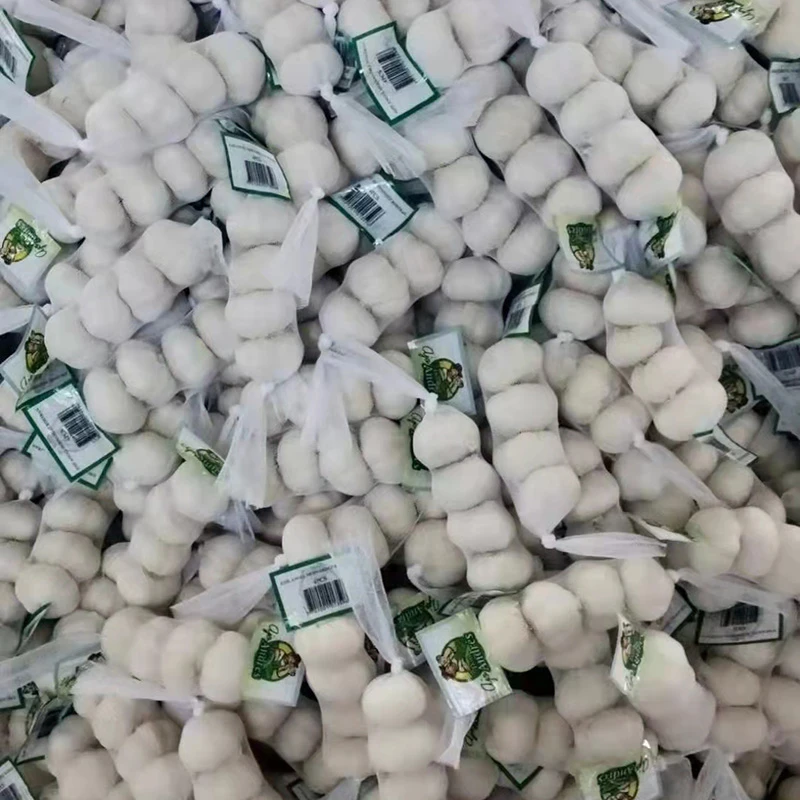 سیر سفید برفی خالص ارگانیک